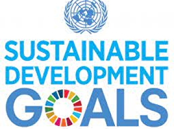 การศึกษาเพื่อ SDG ในปี 2566 :
หลักสูตรเฉพาะเกี่ยวกับความยั่งยืน
(ตัวชี้วัดที่ 17.4.2)